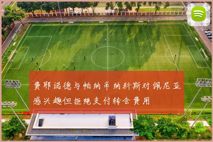 费耶诺德与帕纳辛纳科斯对佩尼亚感兴趣但拒绝支付转会费用