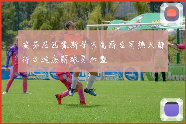 安芬尼西蒙斯寻求高薪合同热火静待合适底薪球员加盟