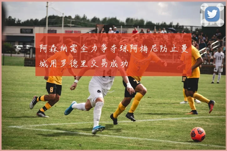 阿森纳需全力争夺琼阿梅尼防止曼城用罗德里交易成功